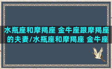 水瓶座和摩羯座 金牛座跟摩羯座的夫妻/水瓶座和摩羯座 金牛座跟摩羯座的夫妻-我的网站